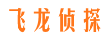 恩平侦探公司